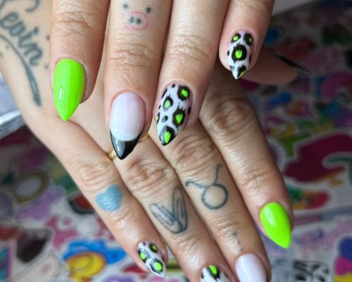 WhatsApp Image 2026-04-15 at 20.56.03